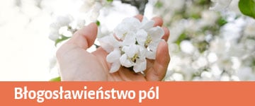 błogosławieństwo pól